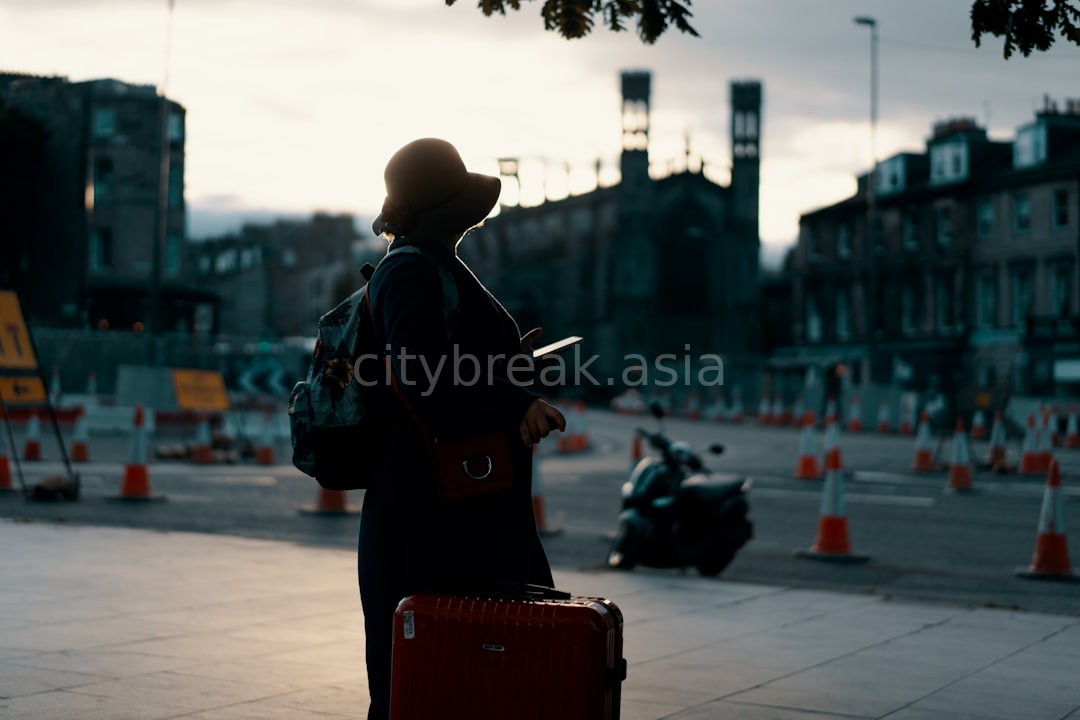 Traveler