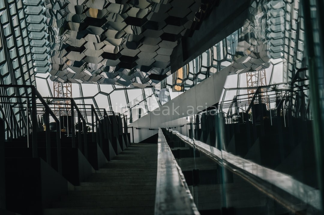 Gallery 5